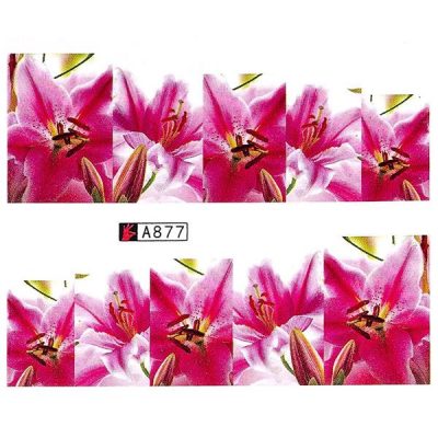 Tatuaj unghii LUXORISE, Nature A877
