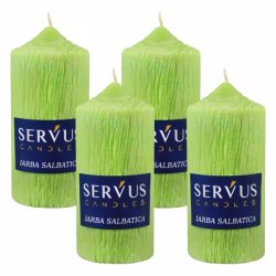 Set 4 Lumanari Parfumate Iarba Salbatica cilindru 13cm